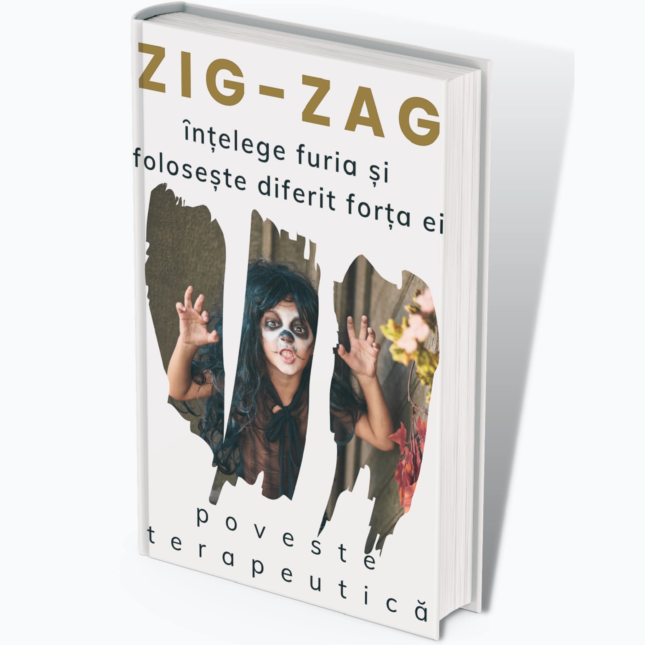 Coperta audiobook "Zig-Zag: intelege furia si foloseste diferit forta ei"